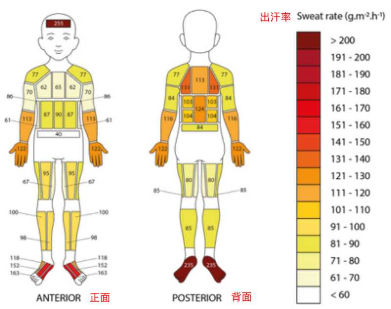 動(dòng)不動(dòng)就揮汗如雨，孩子出汗多需要擔(dān)心嗎？