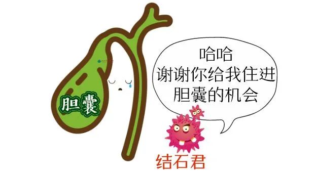 膽囊炎是如何引起的？膽結(jié)石引發(fā)的膽囊炎就一定需要手術(shù)嗎？