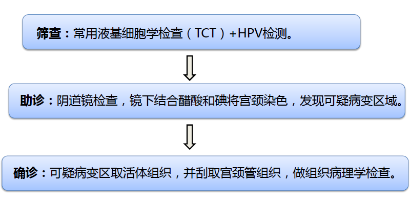 如何在早期發(fā)現(xiàn)宮頸癌？