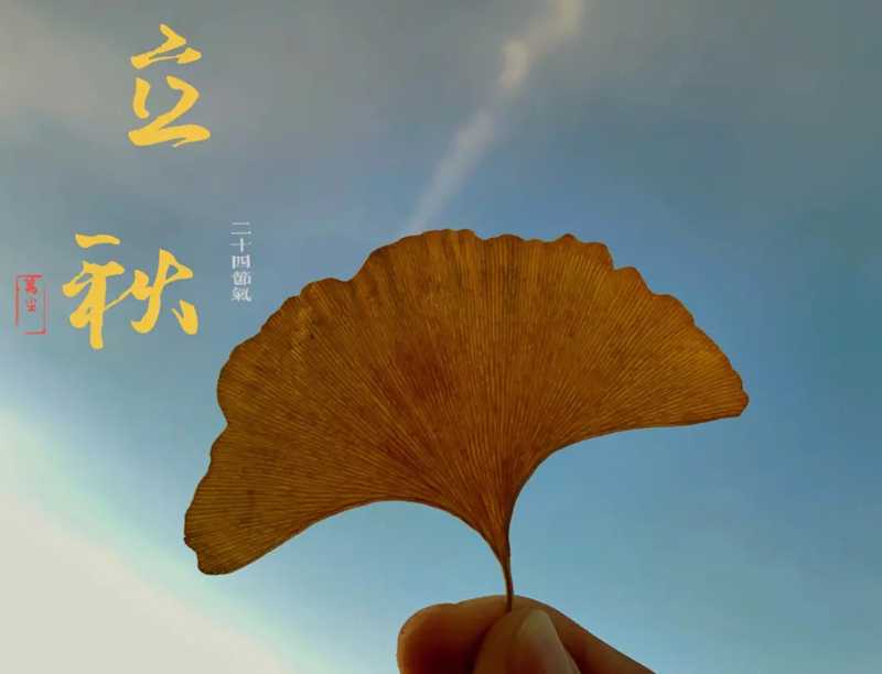 節(jié)氣養(yǎng)生丨今日立秋，養(yǎng)生保健要科學，養(yǎng)生誤區(qū)要避免！